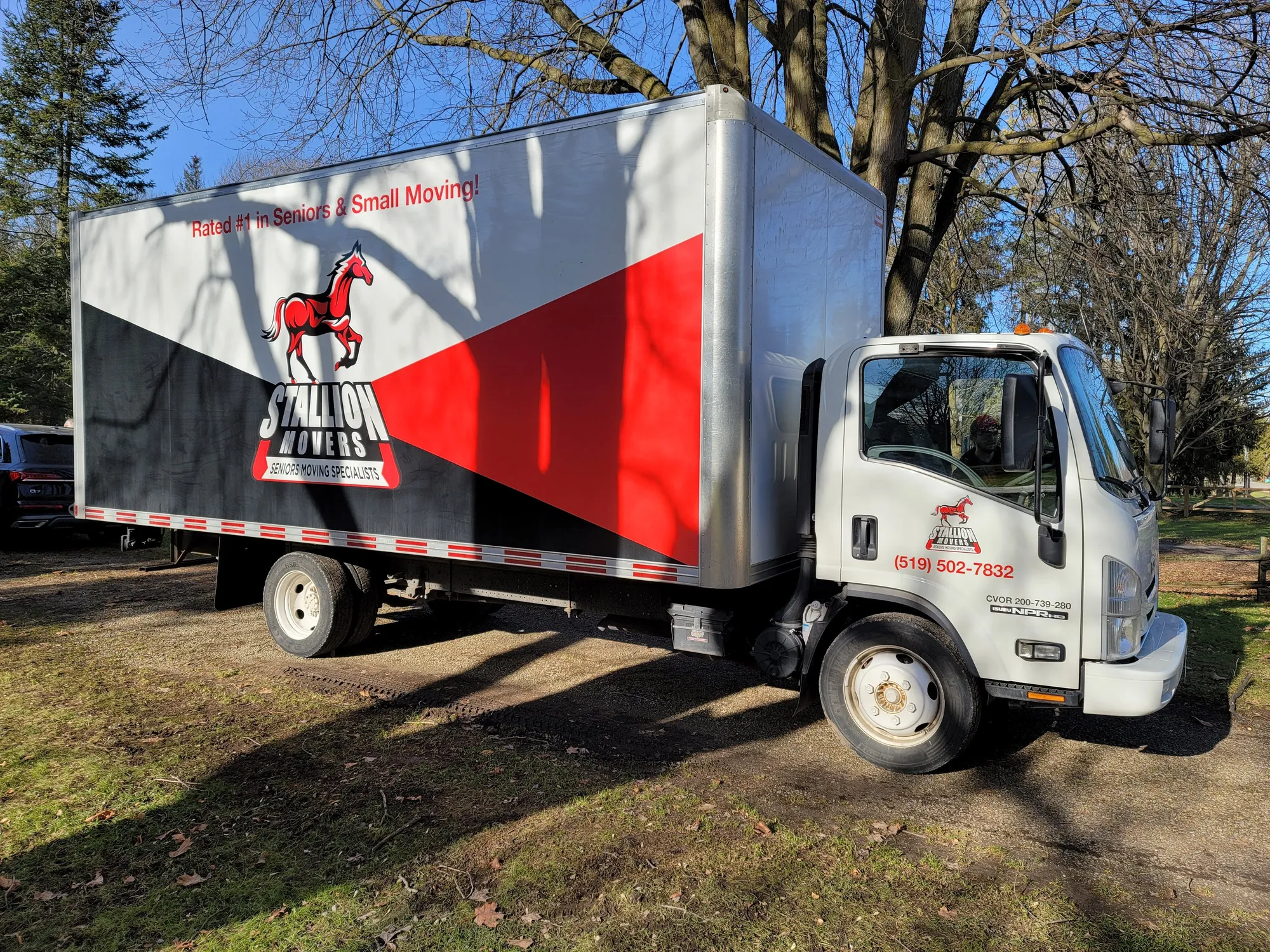 The full side of a Stallion Movers box truck, showing the red horse logo and the company wordmark, parked under bare trees on a bright day